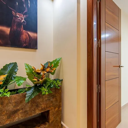 Torriani With Heated Pool Ph11 *