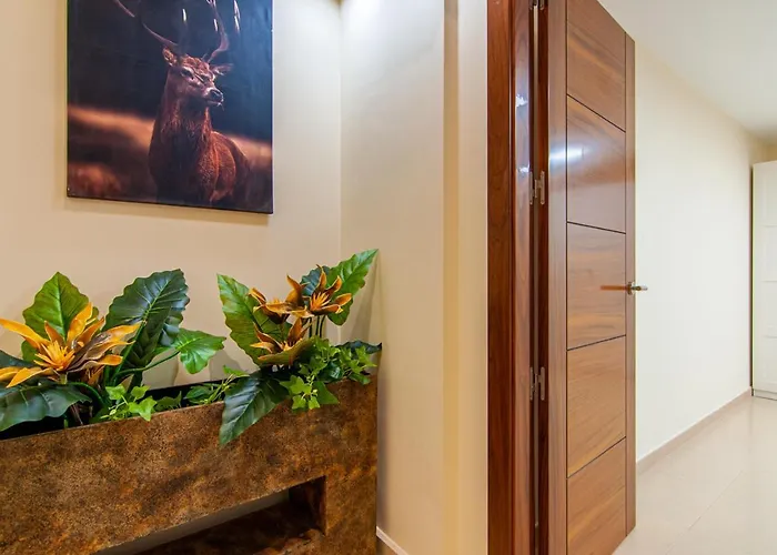 Torriani With Heated Pool Ph11 *